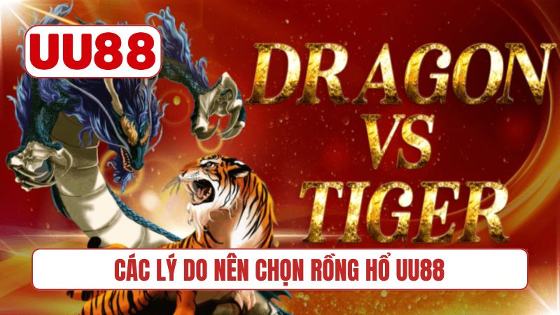 Các lý do nên chọn Rồng Hổ UU88