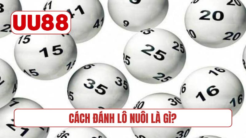 Cách đánh lô nuôi là gì?